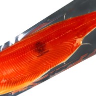 Trucha Ahumada Planchas