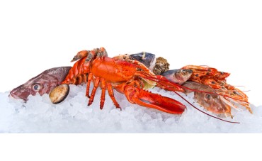 ¿Sabes cómo se conserva el pescado y el marisco?