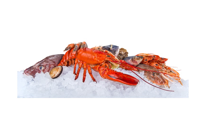 ¿Sabes cómo se conserva el pescado y el marisco?