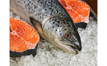 Métodos de conservación del pescado