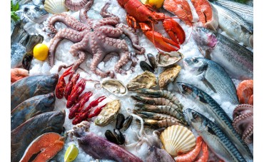 El valor nutritivo de pescados y mariscos (I)