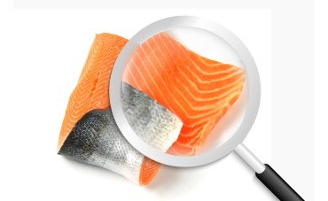 Cómo saber si el salmón está en buen estado