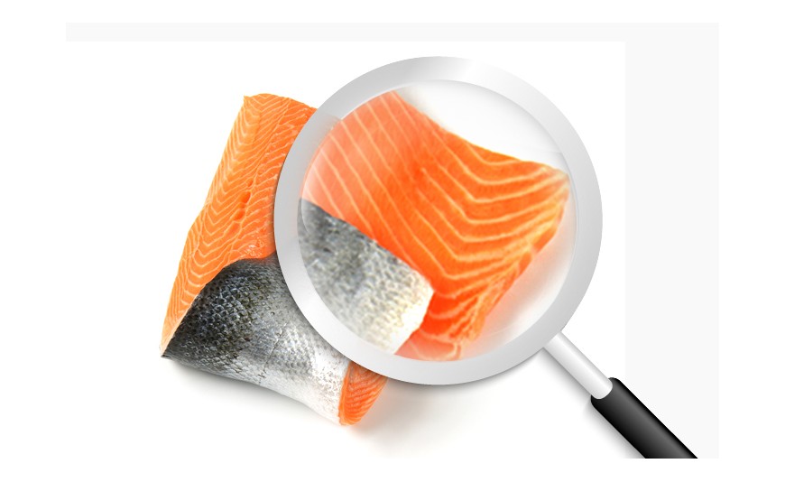 Cómo saber si el salmón está en buen estado