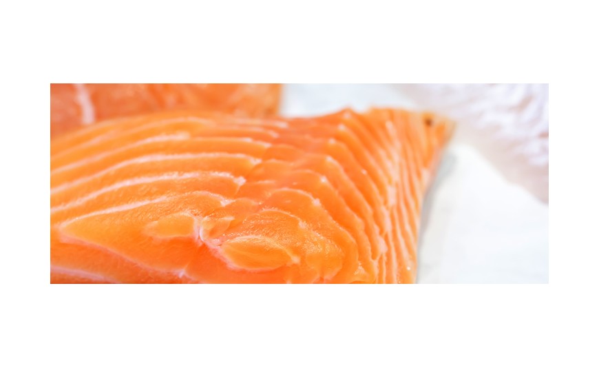 El salmón, uno de los alimentos más saludables