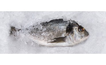 Cómo eliminar el anisakis del pescado