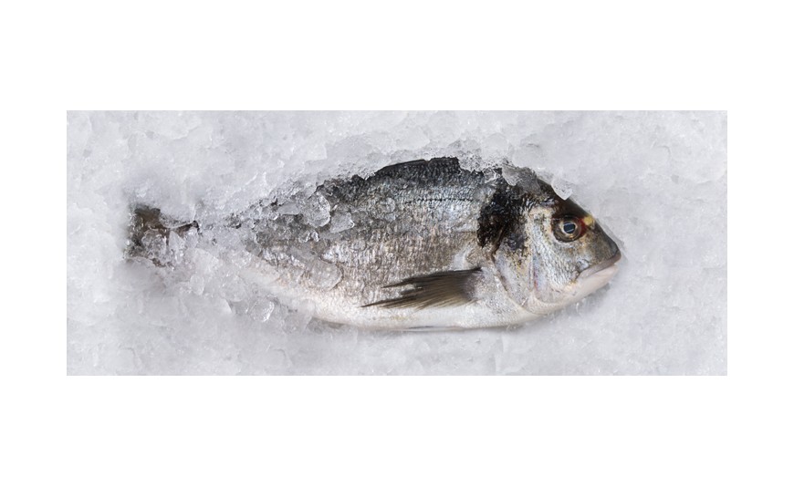 Cómo eliminar el anisakis del pescado