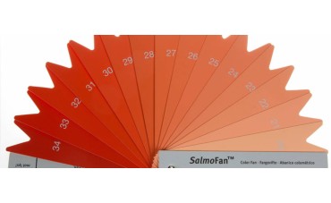 Por qué hay unos salmones más rojos que otros