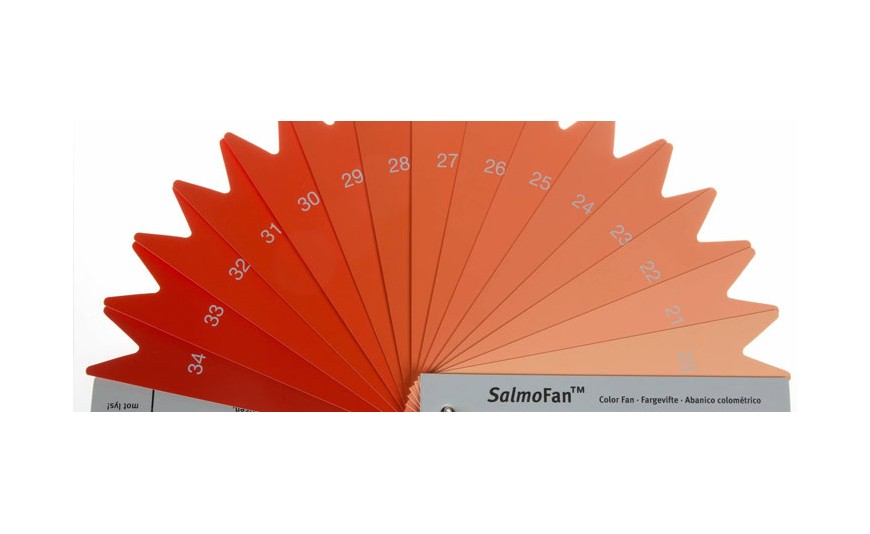 Por qué hay unos salmones más rojos que otros