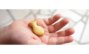 El valor nutricional del pescado en la infancia