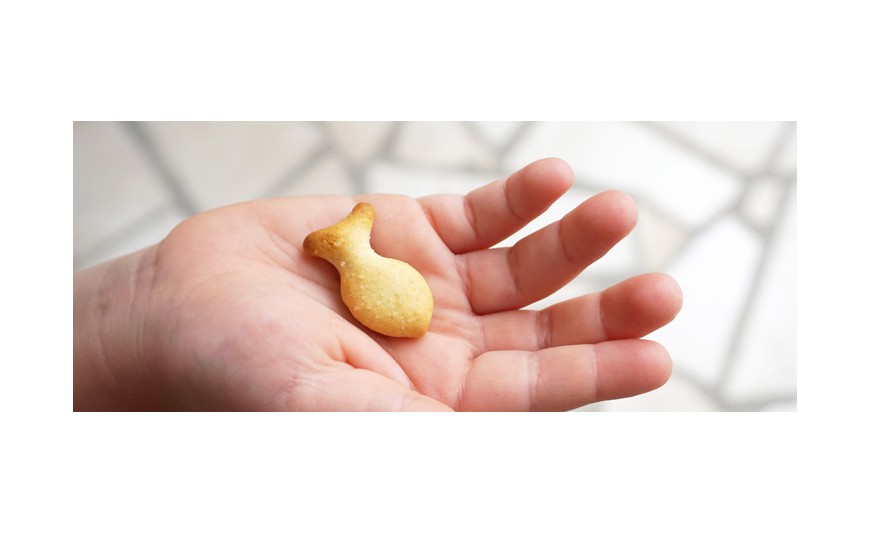 El valor nutricional del pescado en la infancia