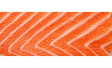 Todo lo que tienes que saber sobre el salmón