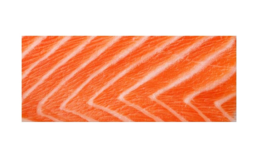 Todo lo que tienes que saber sobre el salmón